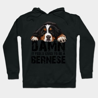 Bernese mountain dog Hoodie